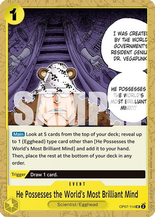 He Possesses the World's Most Brilliant Mind (OP07-114) - 500 Years in the Future - One Piece