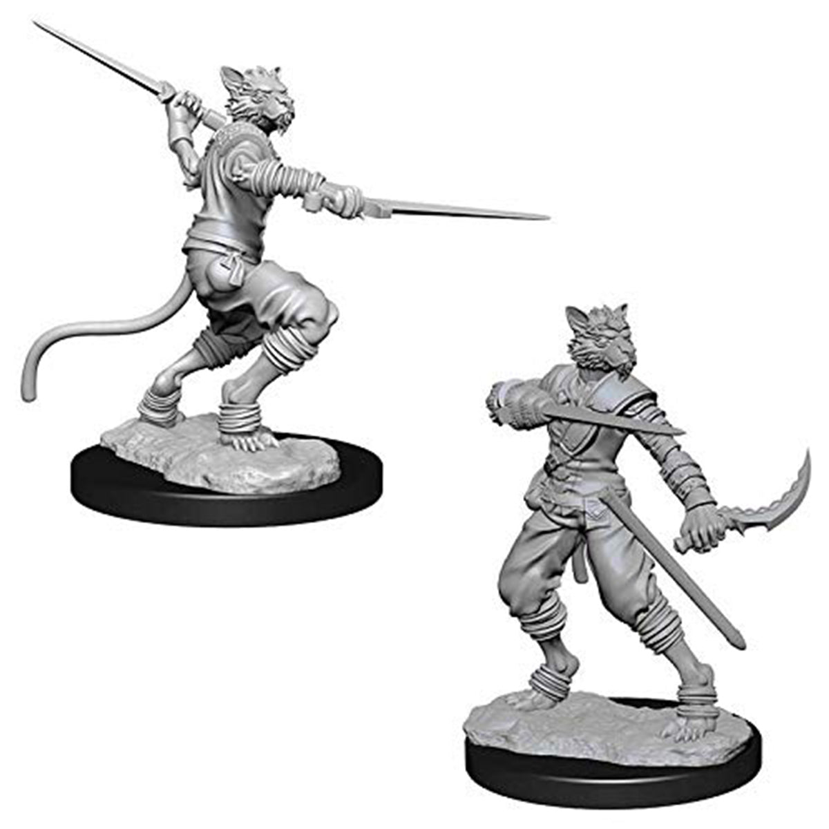 D&D Nolzurs Marvelous Miniatures Male Tabaxi Rogue