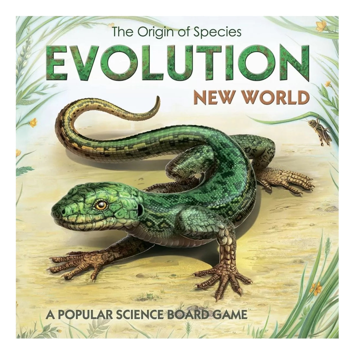 Evolution New World