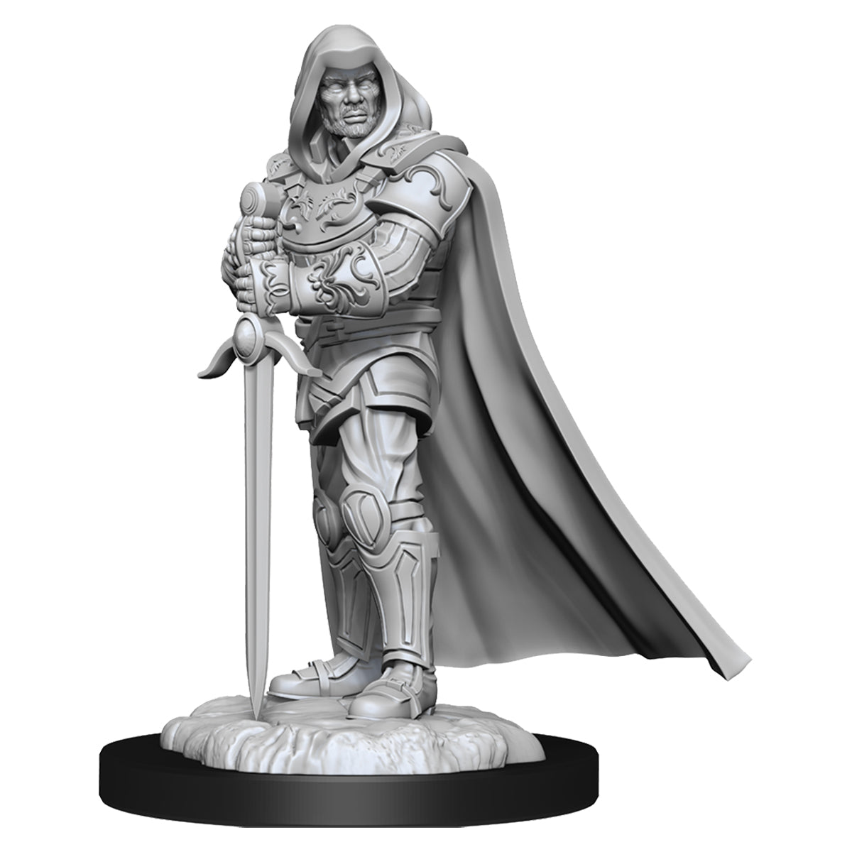 D&D Nolzurs Marvelous Unpainted Miniatures Human Male Paladin