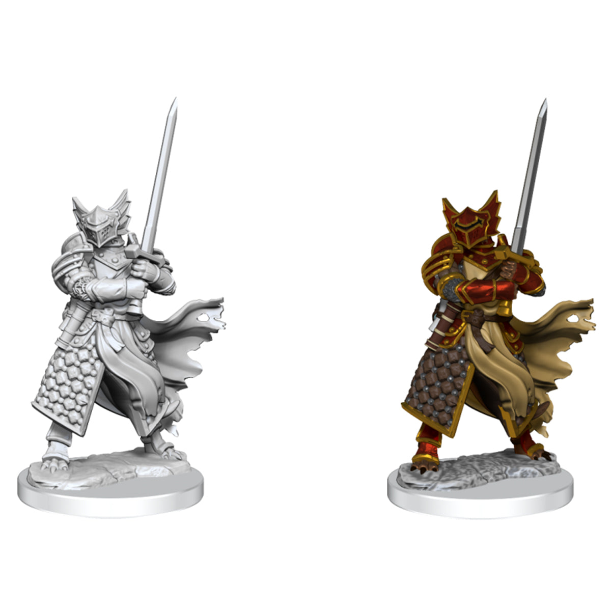 D&D Frameworks Dragonborn Paladin Male