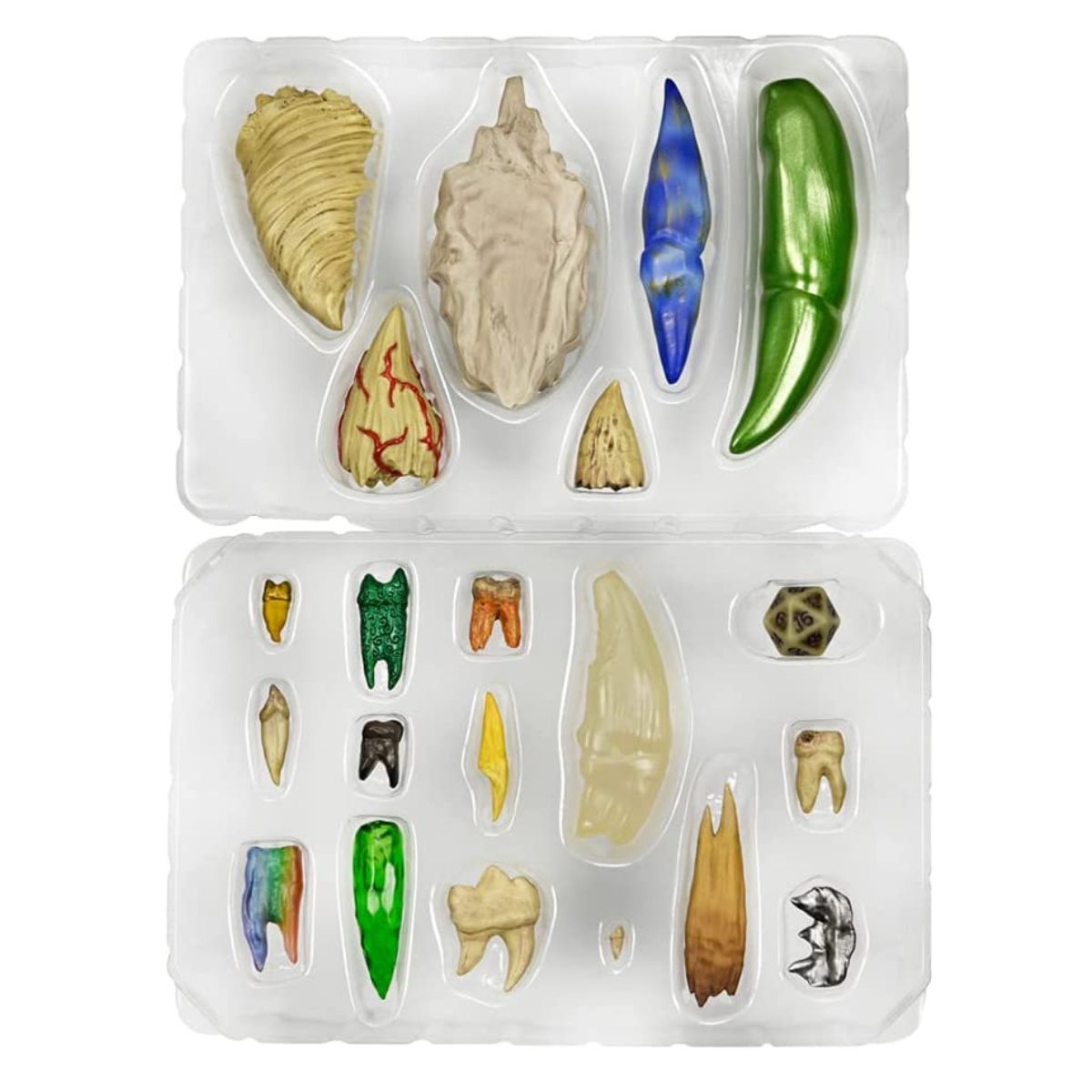 Dungeons & Dragons Teeth of Dahlver-Nar Bite-Sized Artifact