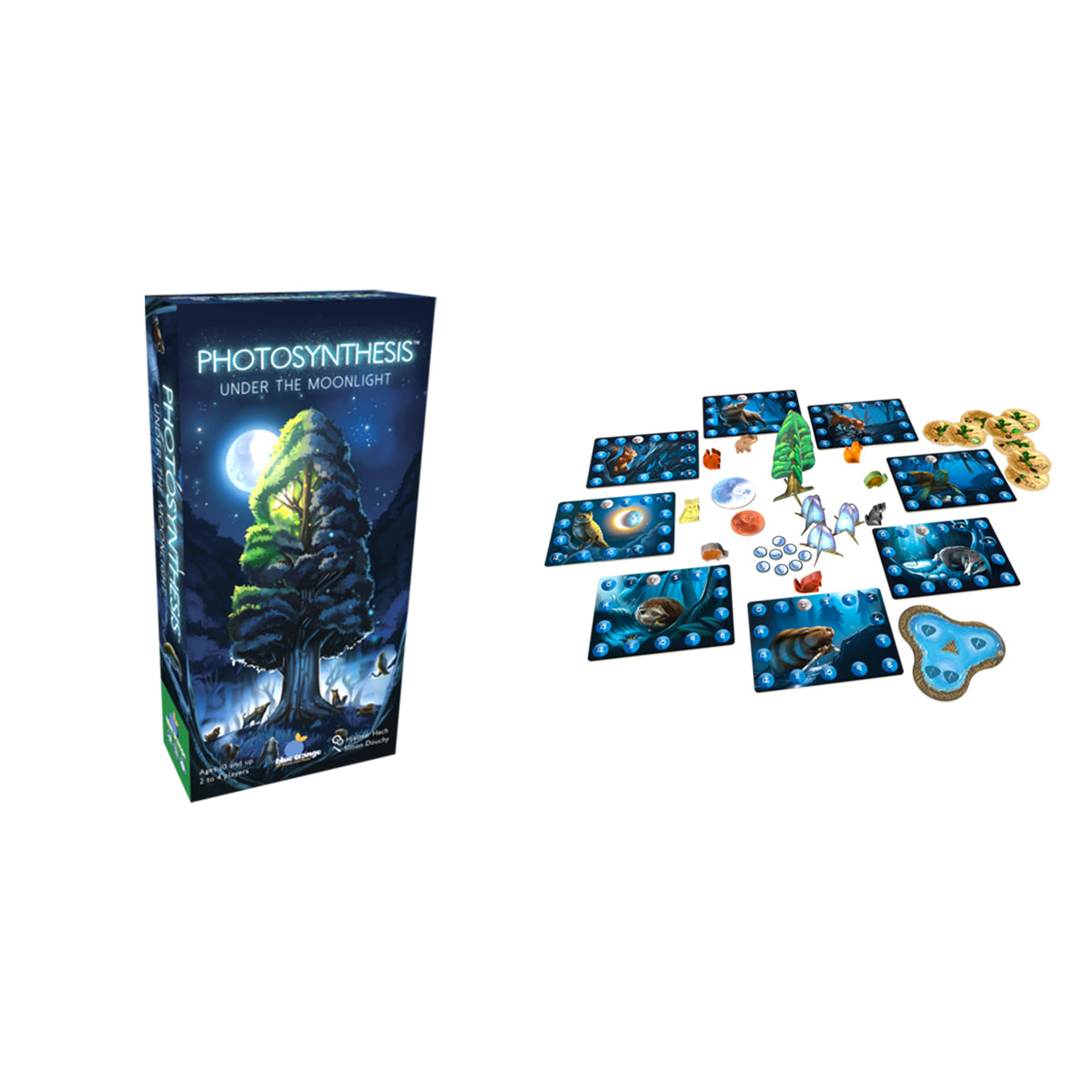 Photosynthesis Under the Moonlight Expansion