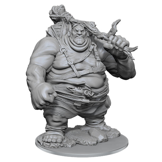 D&D Nolzurs Marvelous Unpainted Miniatures Hill Giant