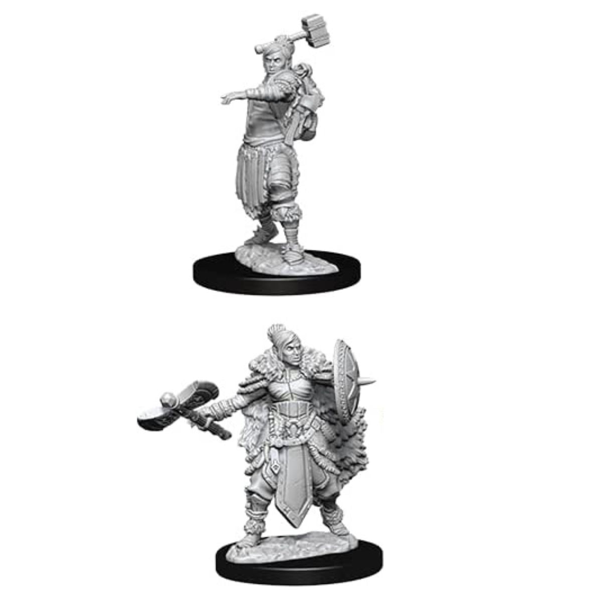 D&D Nolzurs Marvelous Unpainted Miniatures Female Half Orc Barbarian