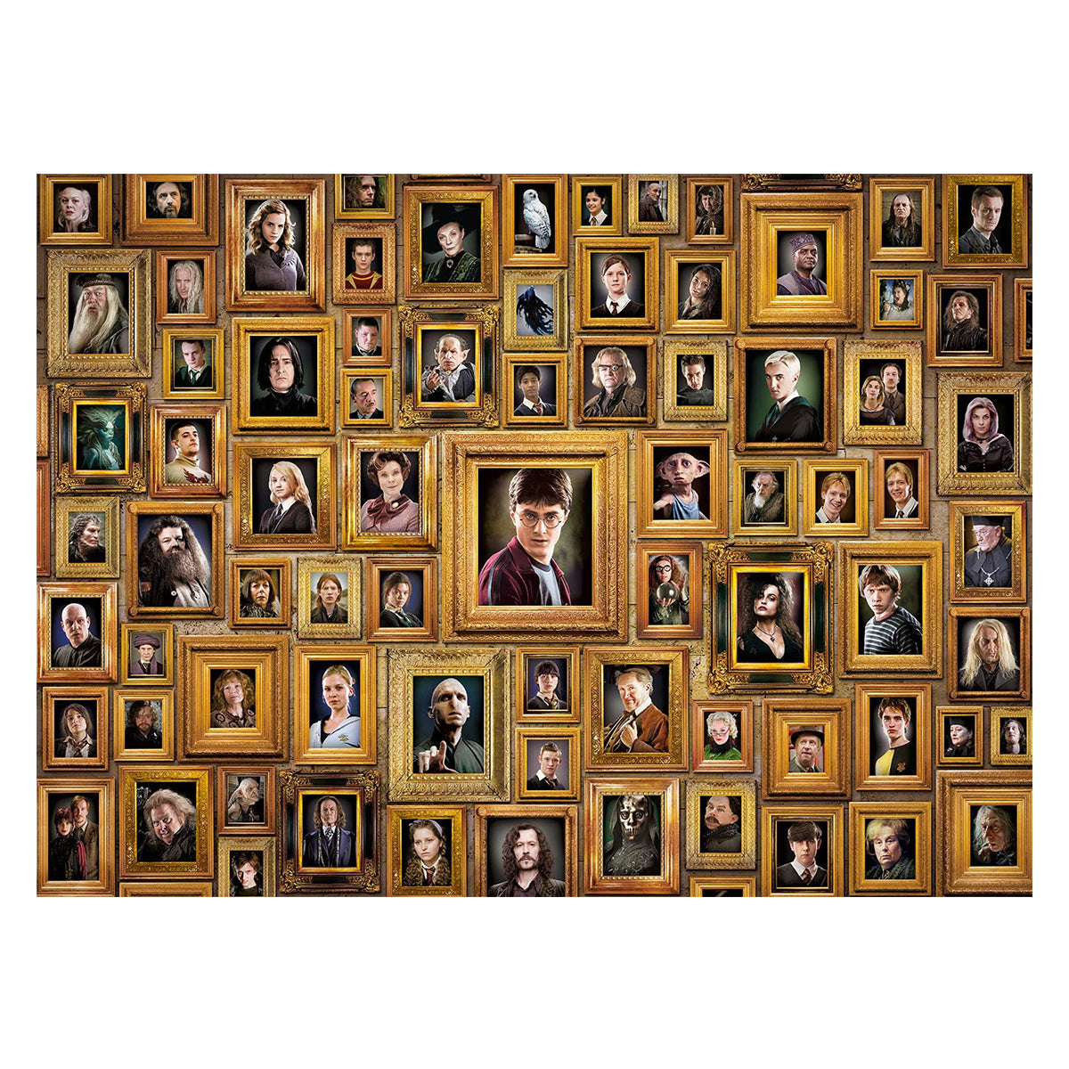 Clementoni Puzzle Harry Potter and the Chamber of Secrets Impossible Puzzle 1000 pieces