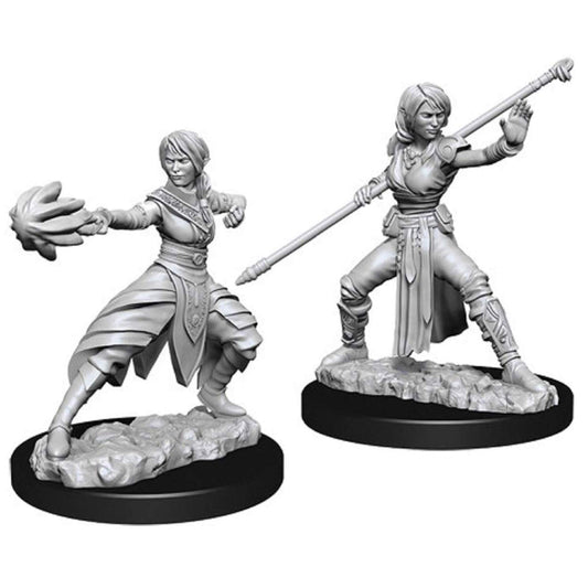 D&D Nolzurs Marvelous Unpainted Miniatures Female Half Elf Monk