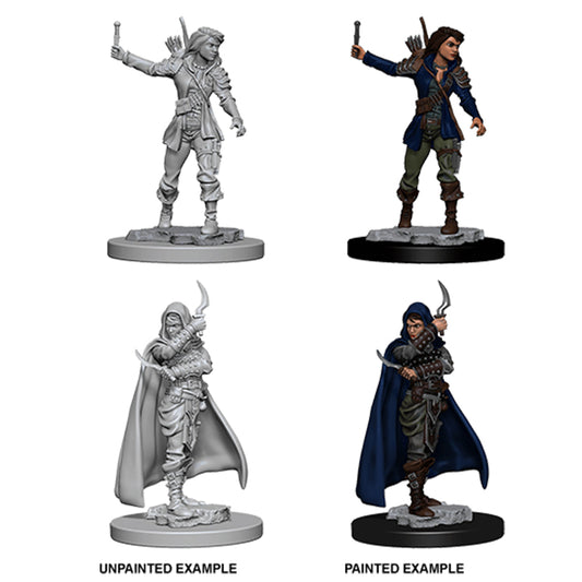 Pathfinder Deep Cuts Unpainted Miniatures Human Female Rogue