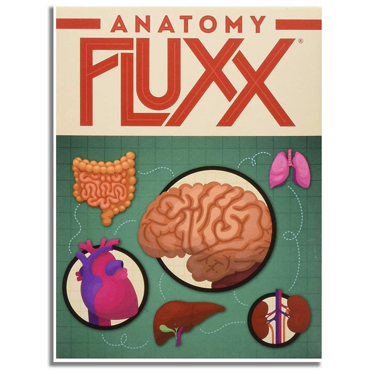 Anatomy Fluxx