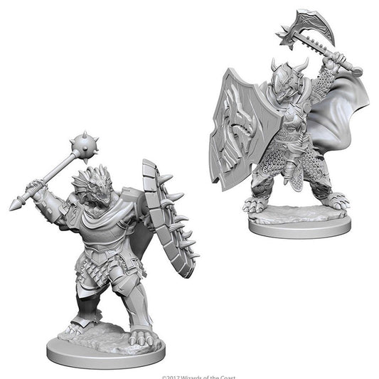 Dungeons & Dragons - Nolzurs Marvelous Unpainted Minis: Dragonborn Male Paladin
