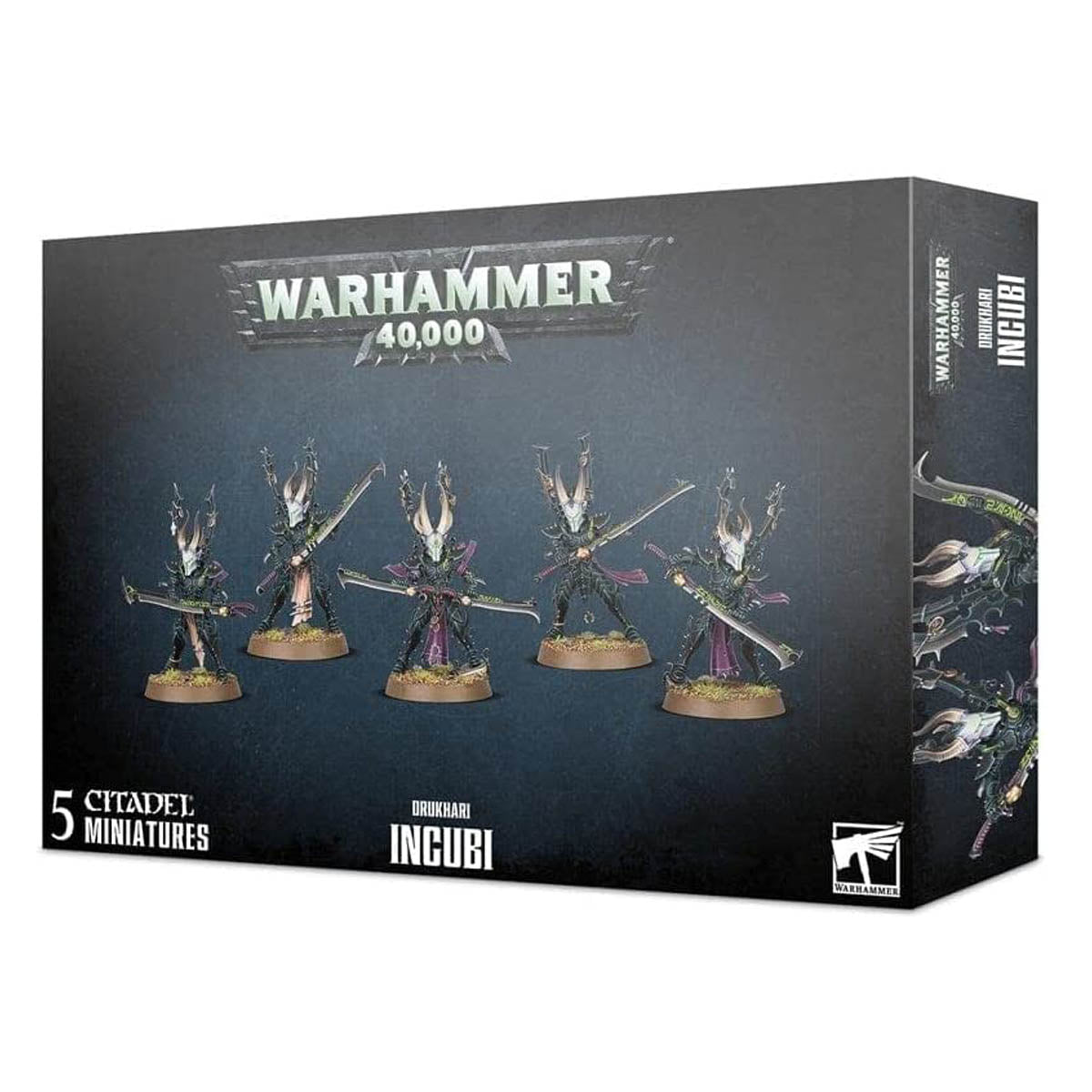 Warhammer 40K Drukhari Incubi