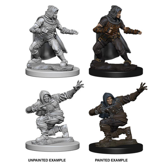 Pathfinder Deep Cuts Unpainted Miniatures Human Male Rogue