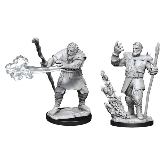 D&D Nolzurs Marvelous Unpainted Miniatures Male Firbolg Druid