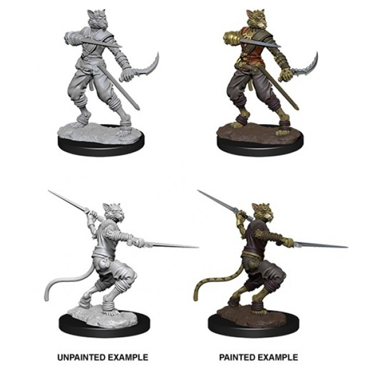 D&D Nolzurs Marvelous Miniatures Male Tabaxi Rogue