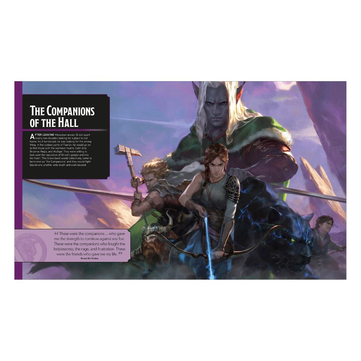 D&D The Legend of Drizzt - Visual Dictionary