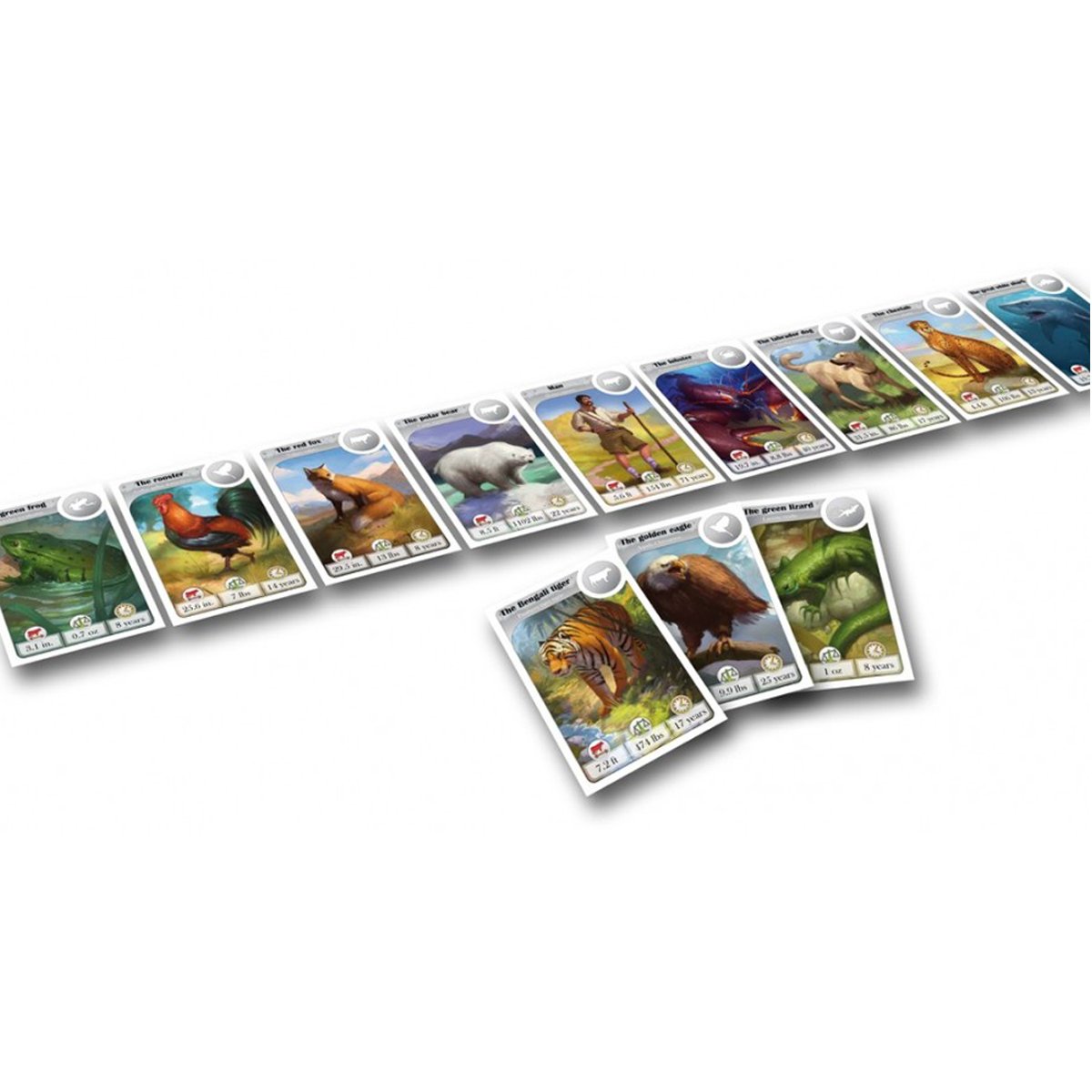 Cardline Animals Family Game Board Game