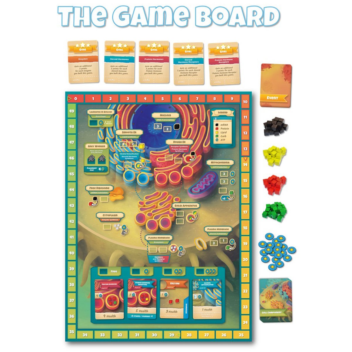 Cytosis A Cell Biology Board Game