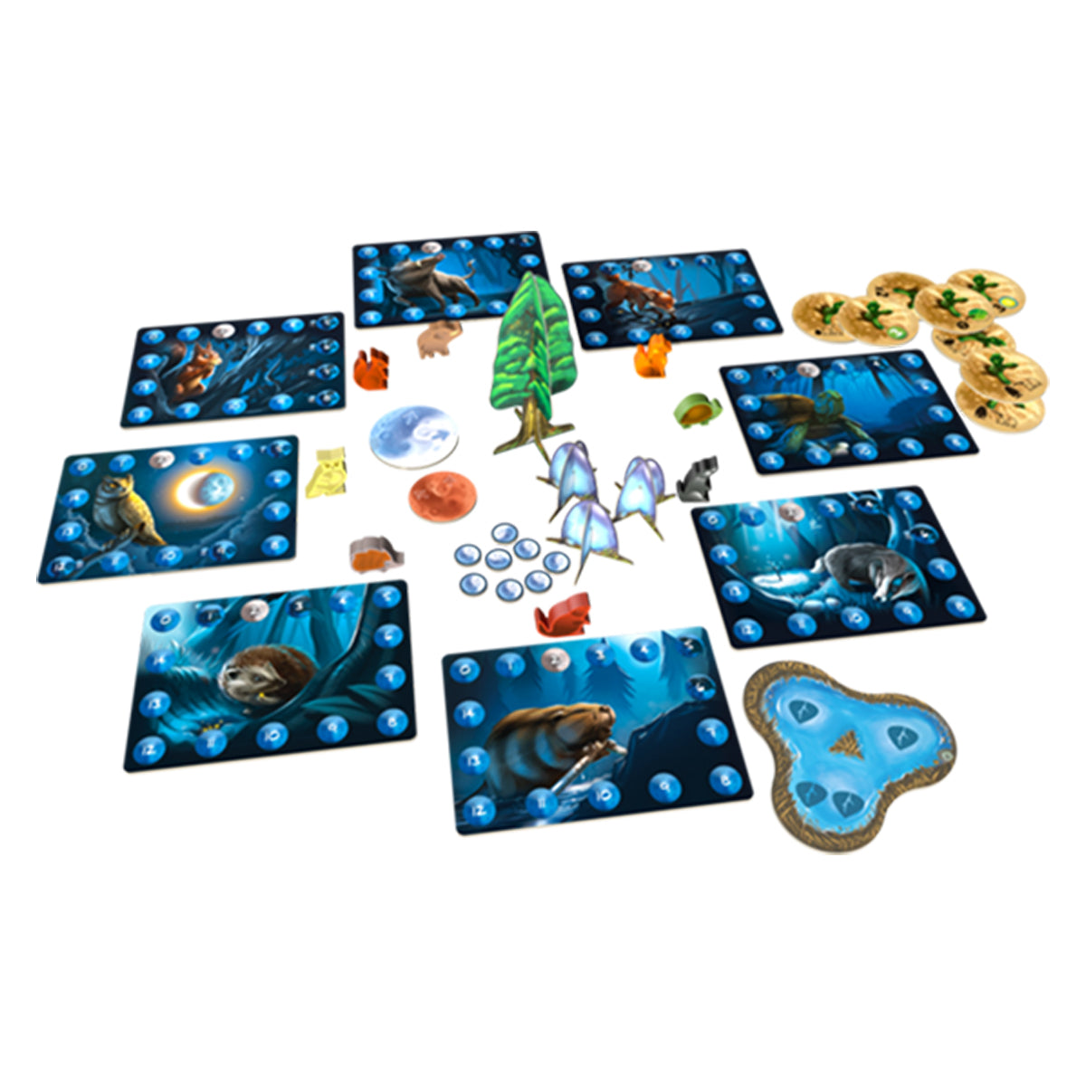 Photosynthesis Under the Moonlight Expansion
