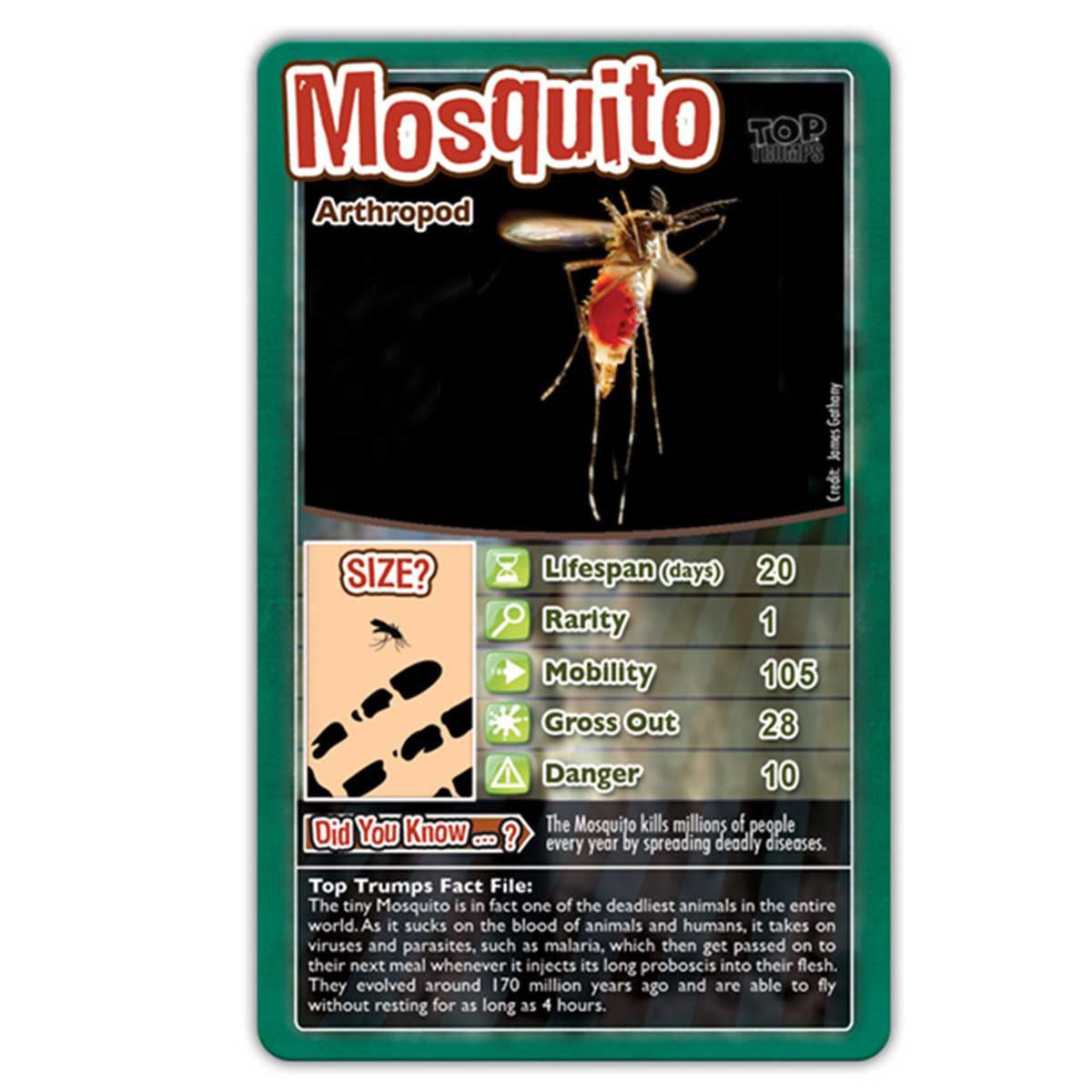 Top Trumps Bugs APAC