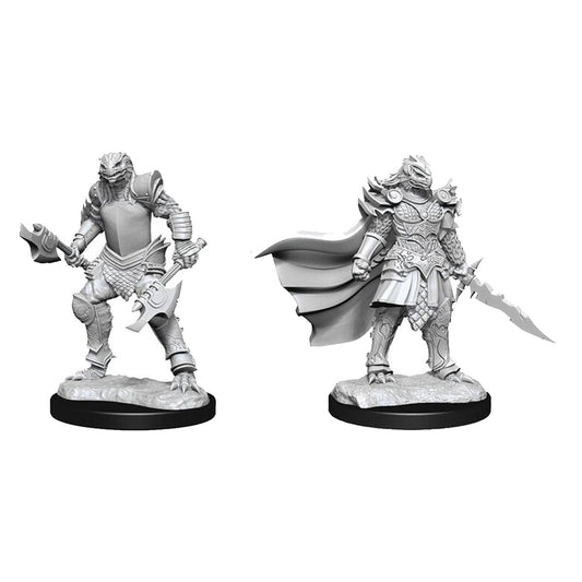 D&D Nolzurs Marvelous Unpainted Miniatures Dragonborn Fighter Female