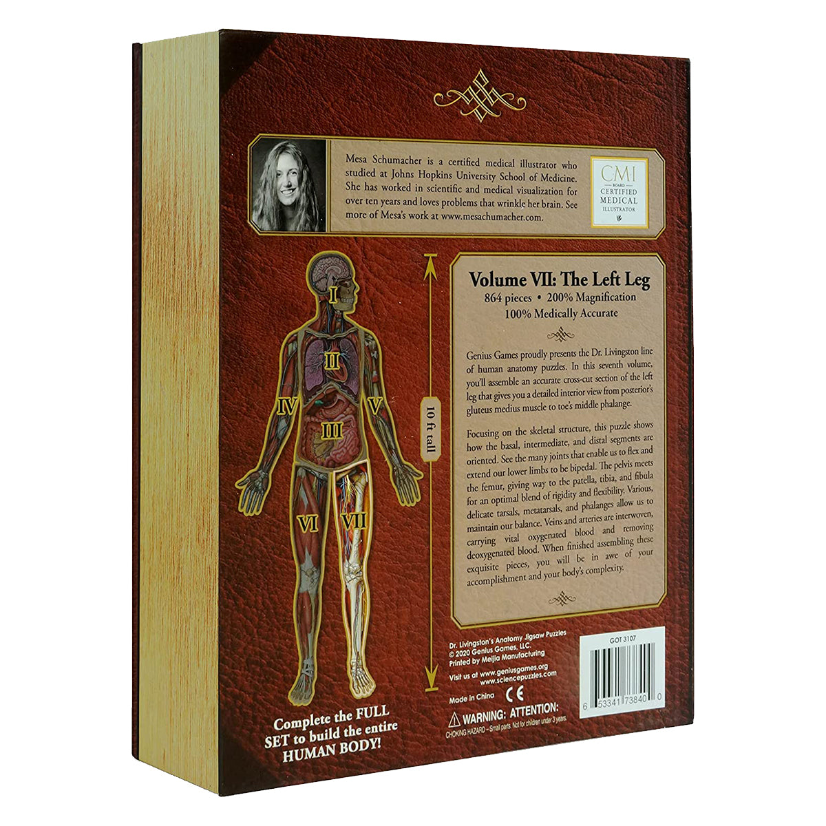 Dr Livingston Anatomy Jigsaw Puzzle The Human Left Leg 864 Pieces