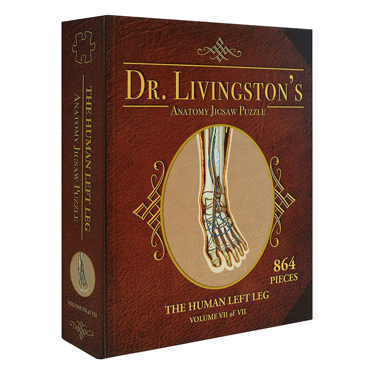 Dr Livingston Anatomy Jigsaw Puzzle The Human Left Leg 864 Pieces
