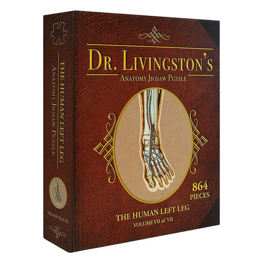 Dr Livingston Anatomy Jigsaw Puzzle The Human Left Leg 864 Pieces