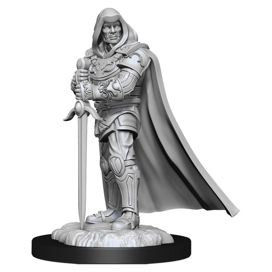 D&D Nolzurs Marvelous Unpainted Miniatures Human Male Paladin