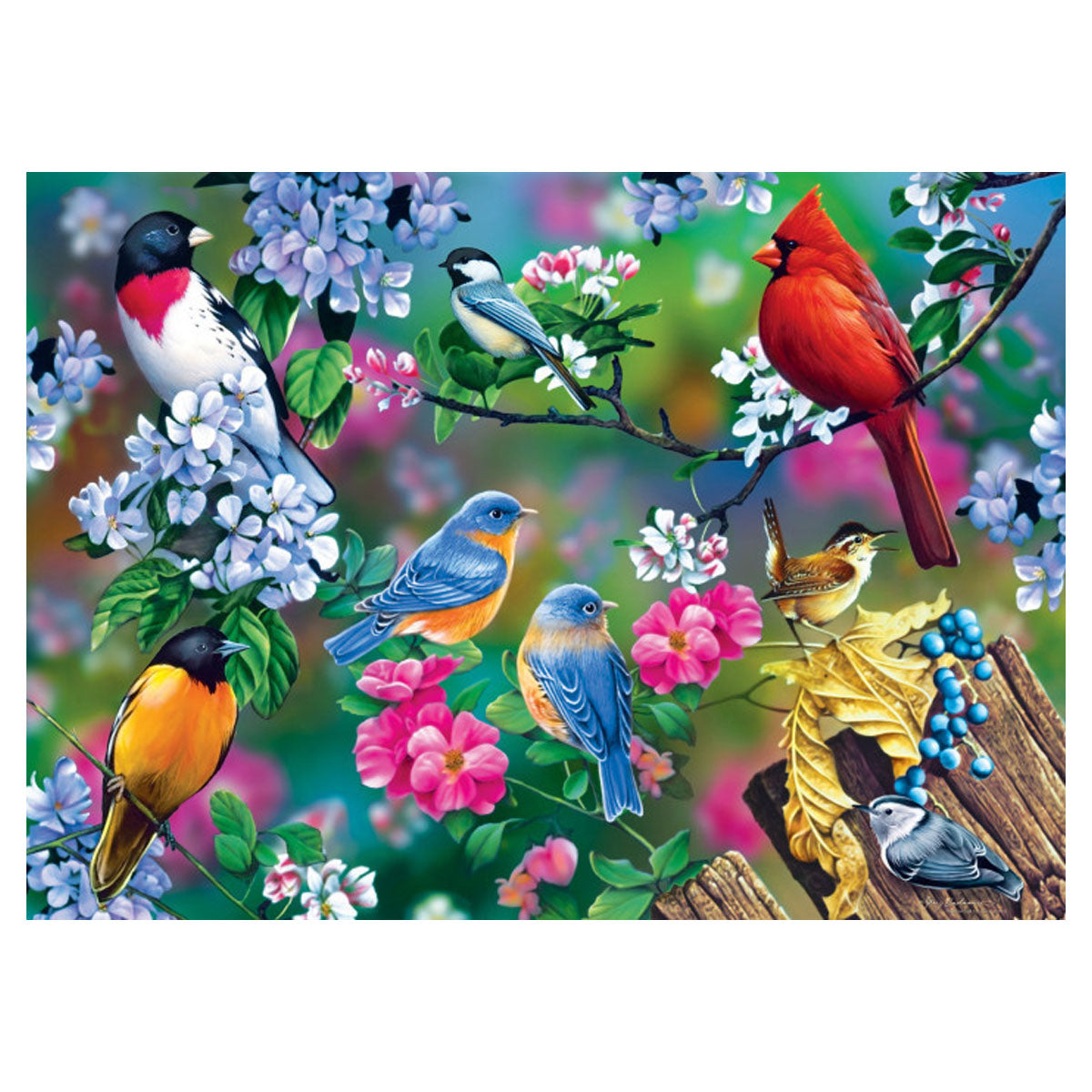 Masterpieces Puzzle Audubon Songbird Collage Puzzle 1000 pieces