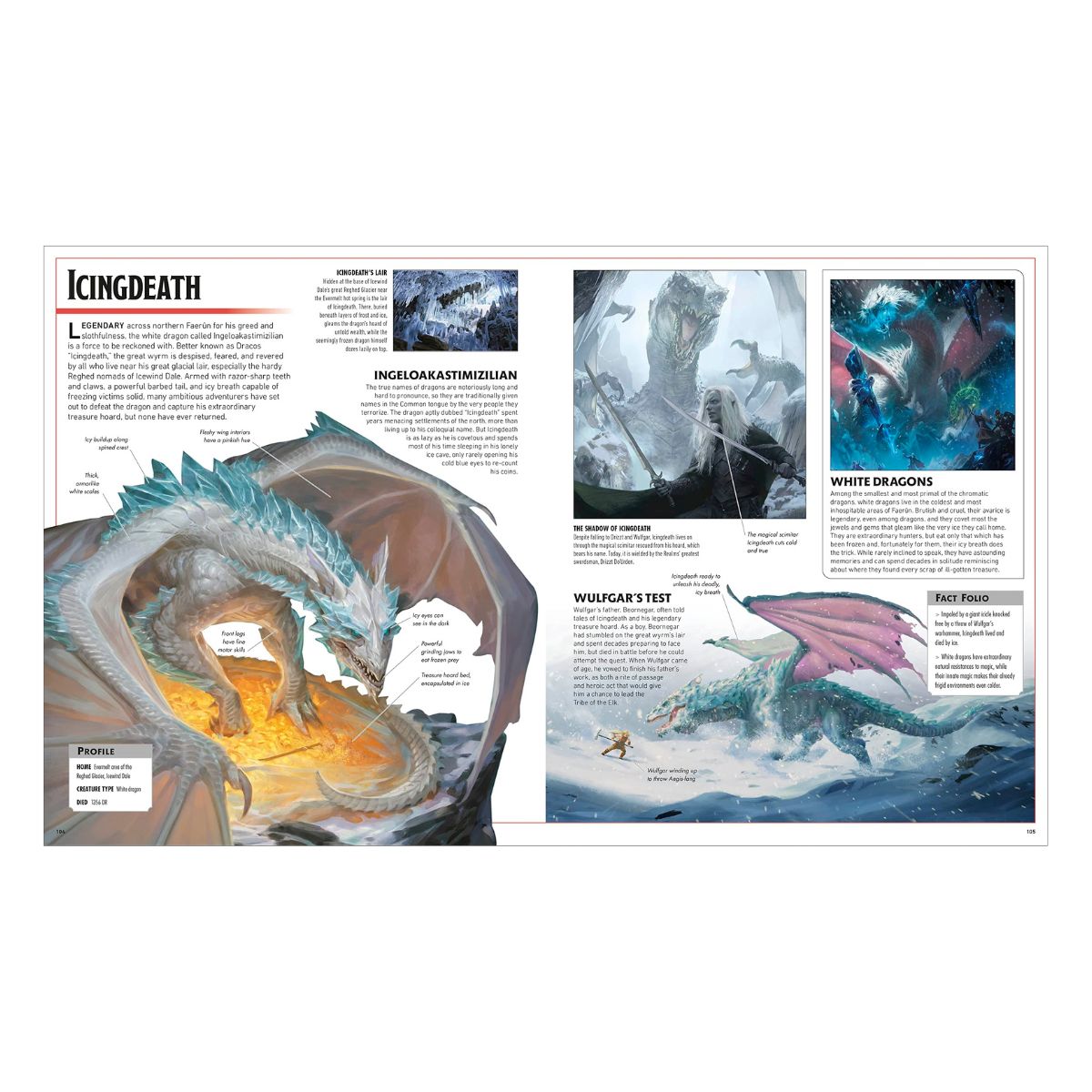 D&D The Legend of Drizzt - Visual Dictionary