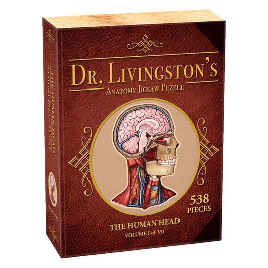 Dr Livingston Anatomy Jigsaw Puzzle The Human Head 538 Pieces