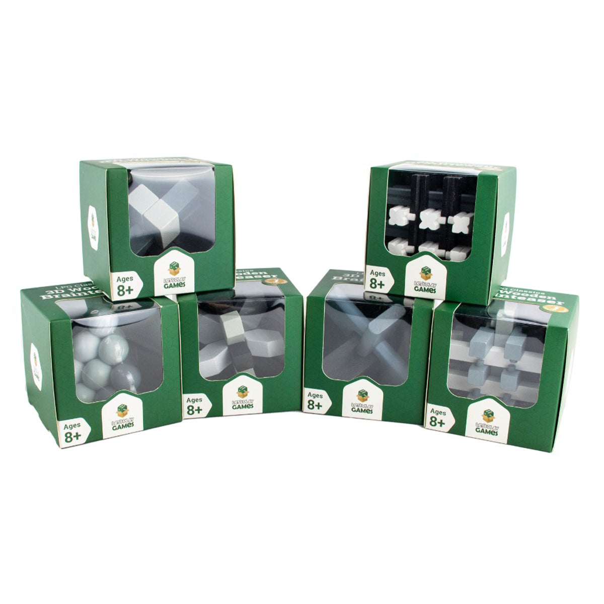 LPG 3D Wooden Brainteaser: Series 1 (Random select)