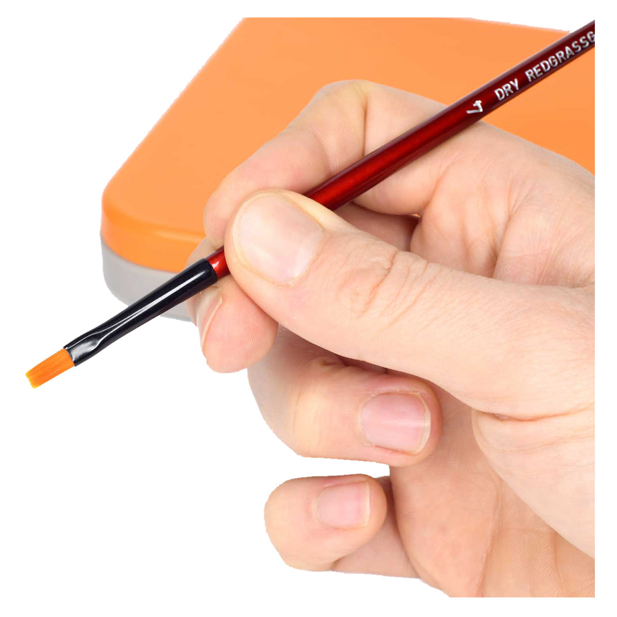 Redgrass Dry Brush
