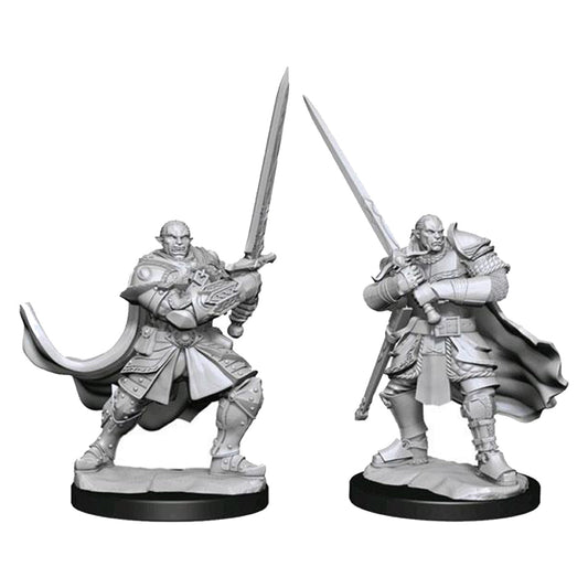 D&D Nolzurs Marvelous Unpainted Miniatures Half Orc Paladin Male