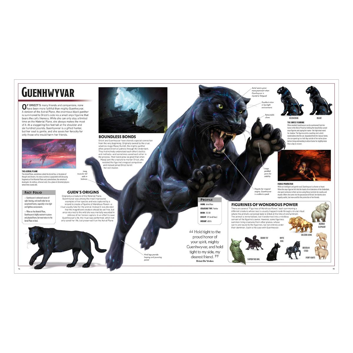 D&D The Legend of Drizzt - Visual Dictionary