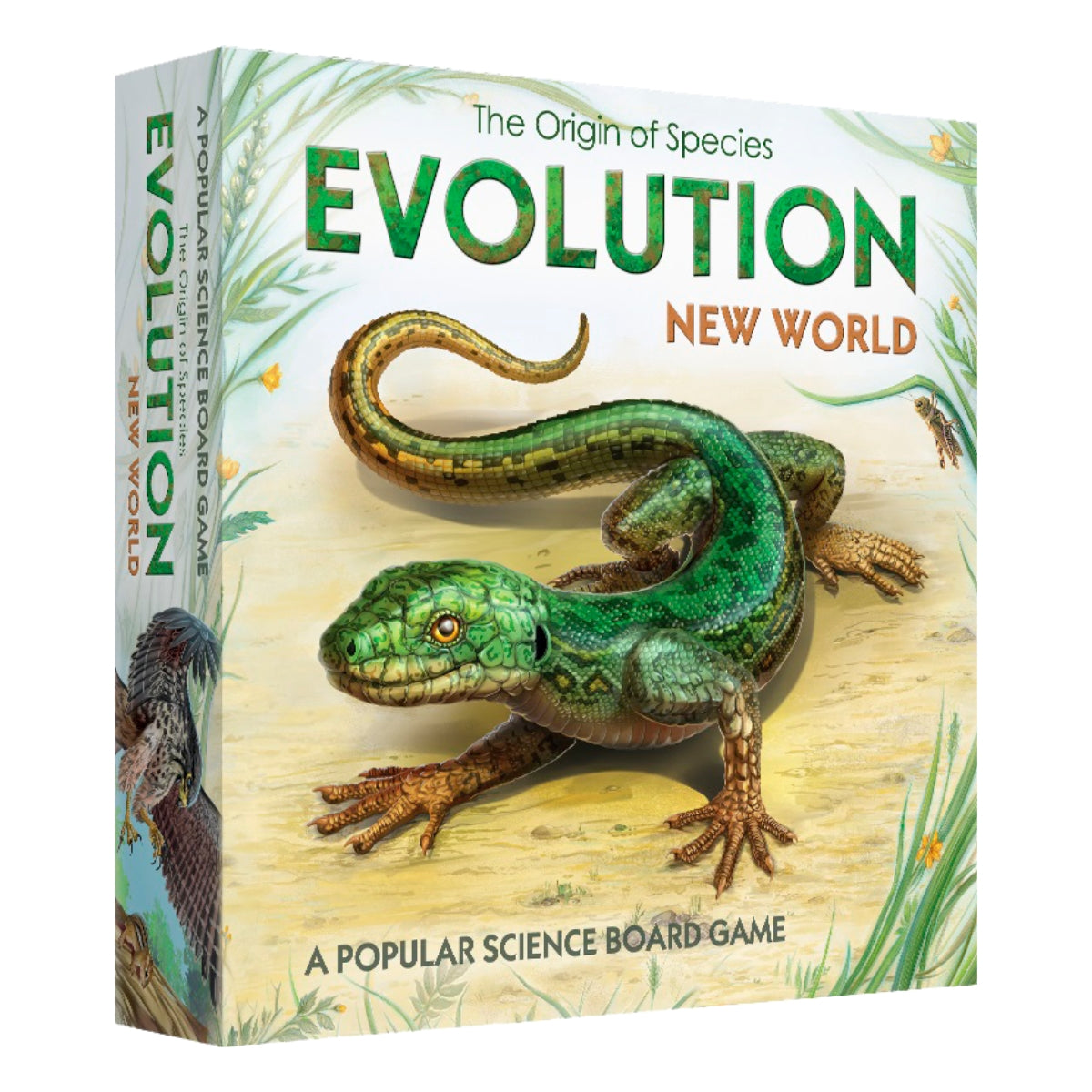 Evolution New World