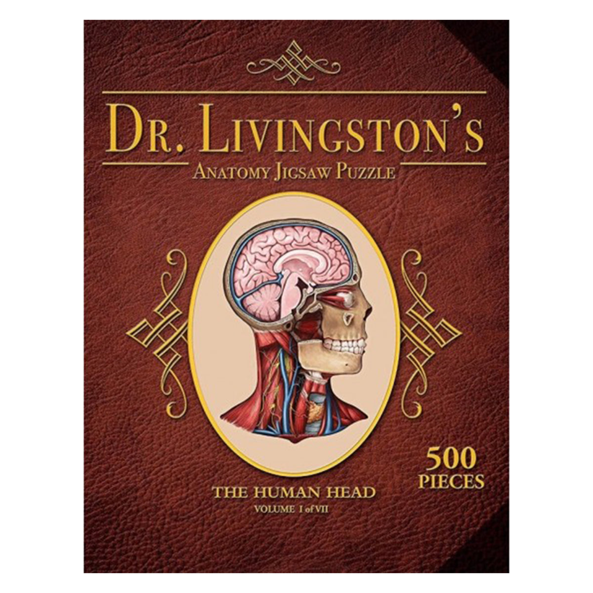 Dr Livingston Anatomy Jigsaw Puzzle The Human Head 538 Pieces