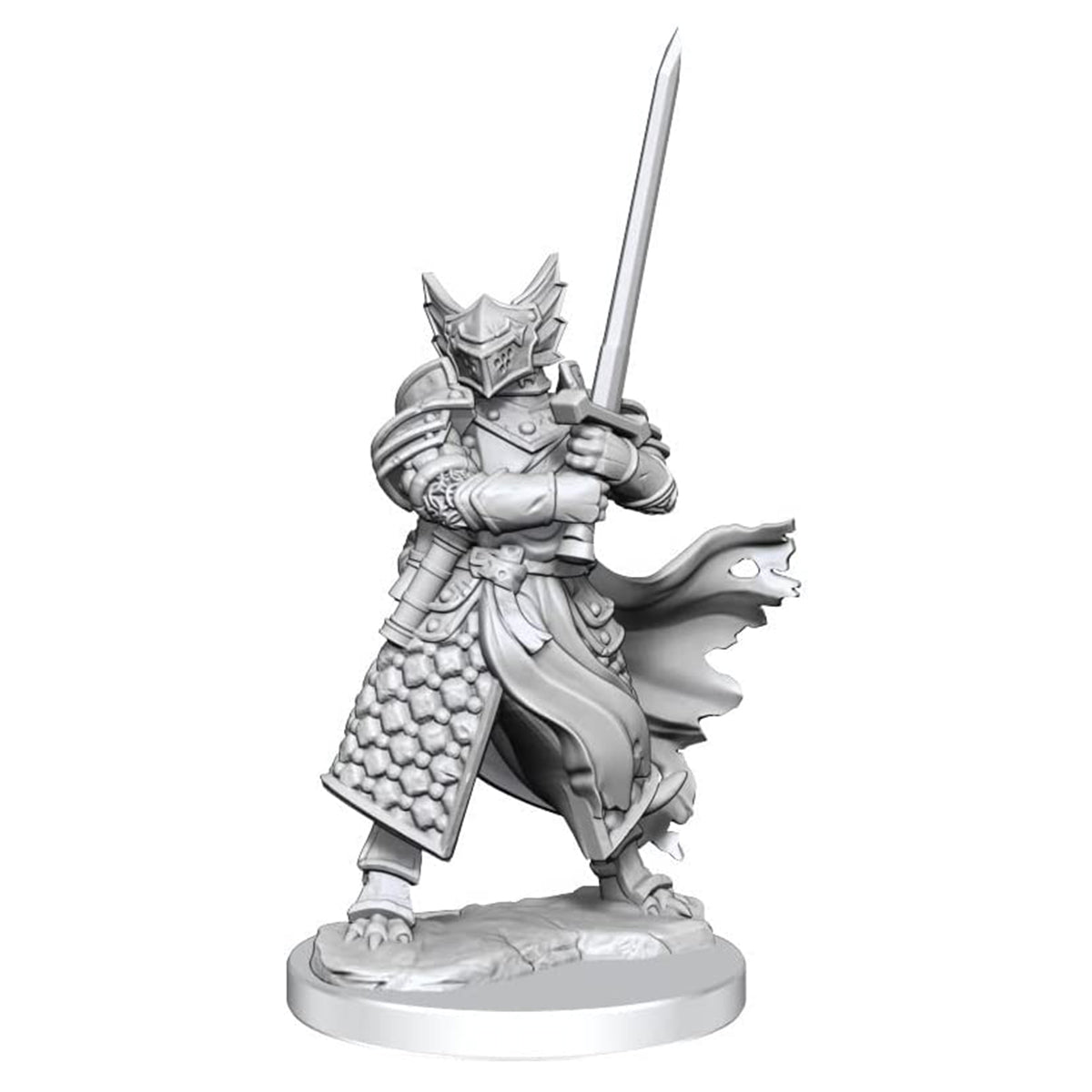 D&D Frameworks Dragonborn Paladin Male