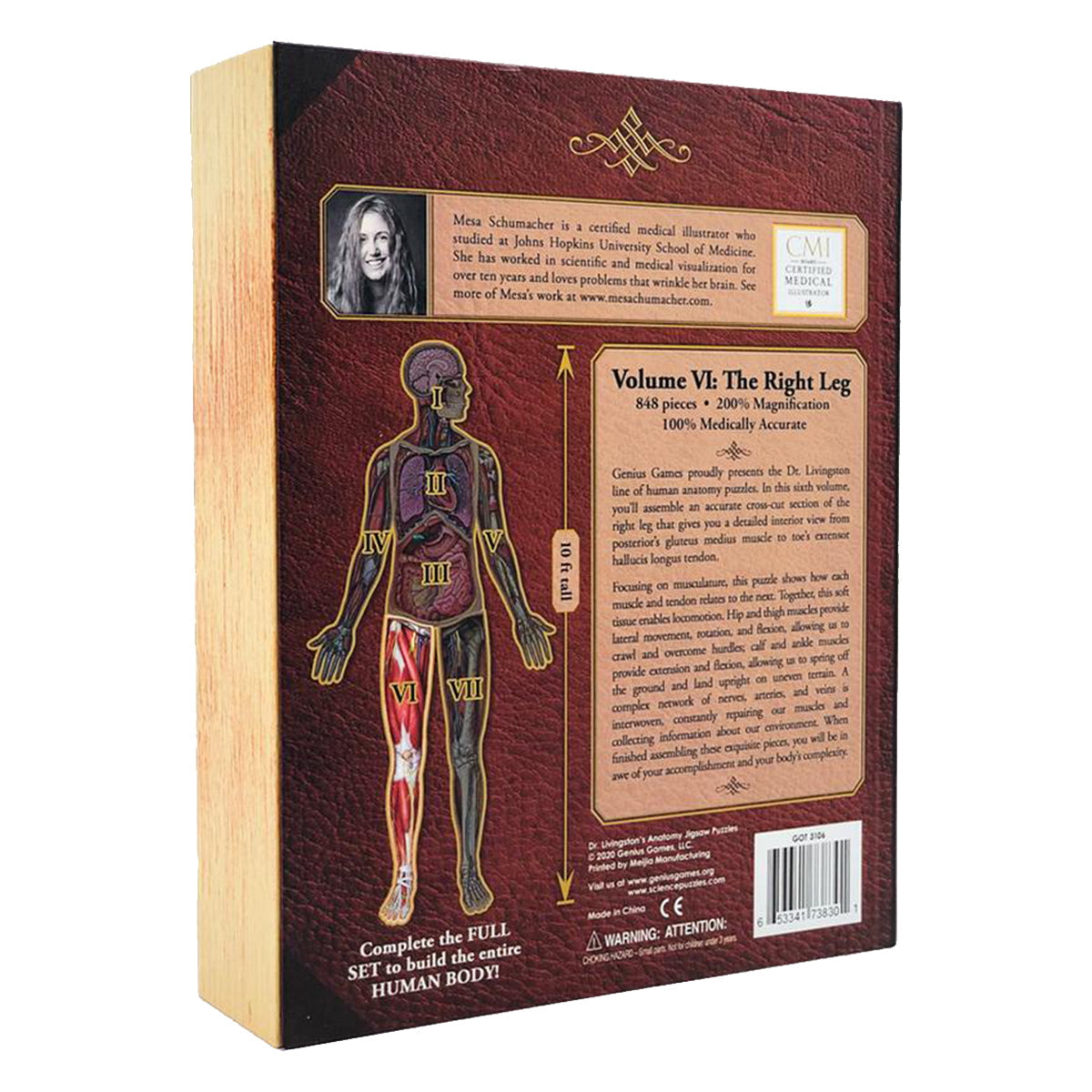 Dr Livingston Anatomy Jigsaw Puzzle The Human Right Leg 848 Pieces