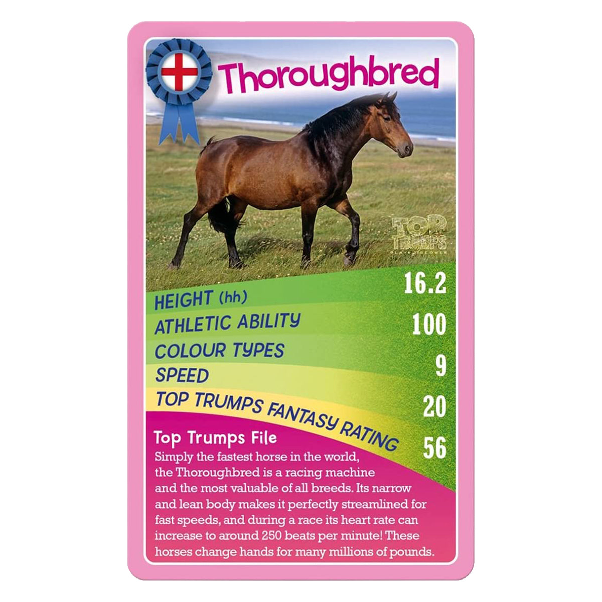 Top Trumps Horses and Ponies and Unicorns