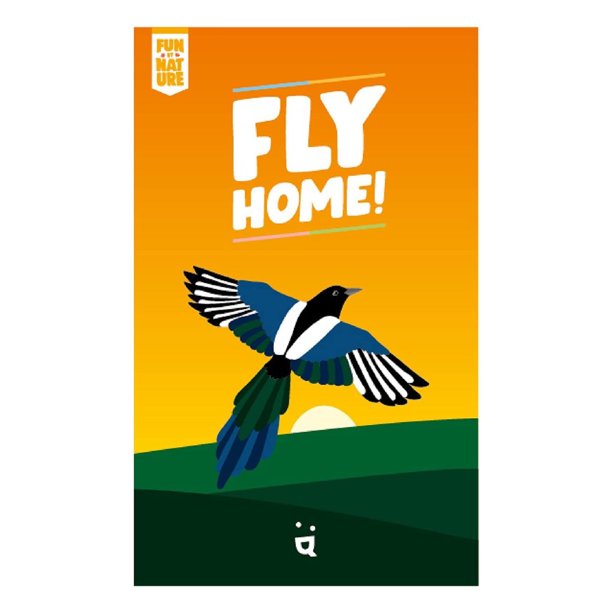 Fly Home