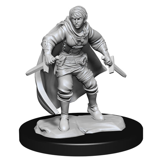 D&D Nolzurs Marvelous Unpainted Miniatures Half-Elf Rogue Female