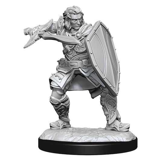 D&D Nolzurs Marvelous Unpainted Miniatures Human Paladin Male