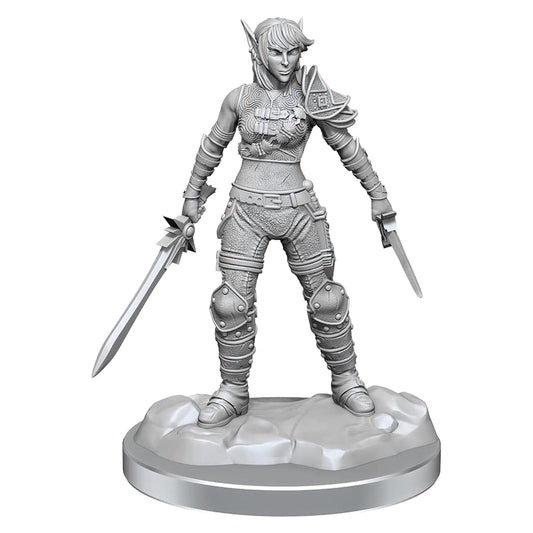 D&D Nolzurs Marvelous Miniatures Elf Rogue & Half-Elf Rogue Protege