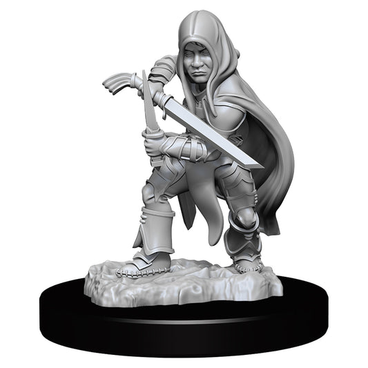 D&D Nolzurs Marvelous Unpainted Miniatures Halfling Male Rogue