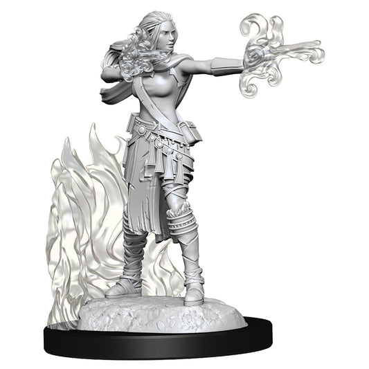 D&D Nolzurs Marvelous Unpainted Miniatures Female Multiclass Warlock + Sorcerer