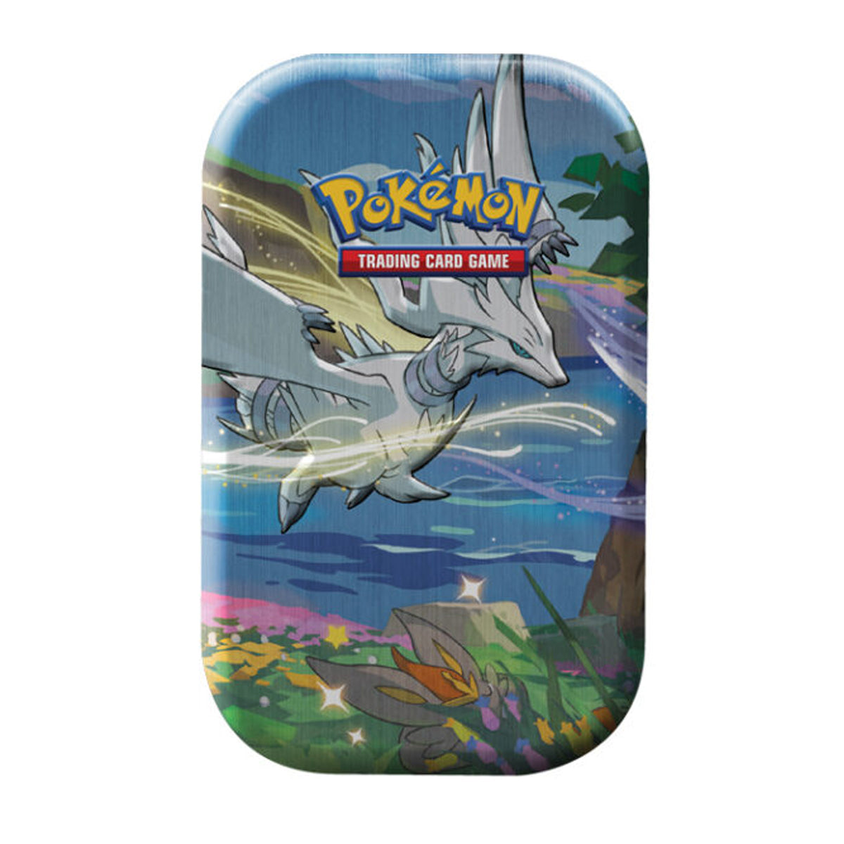 Pokemon Shining Fates Mini Tins (Set of 5)