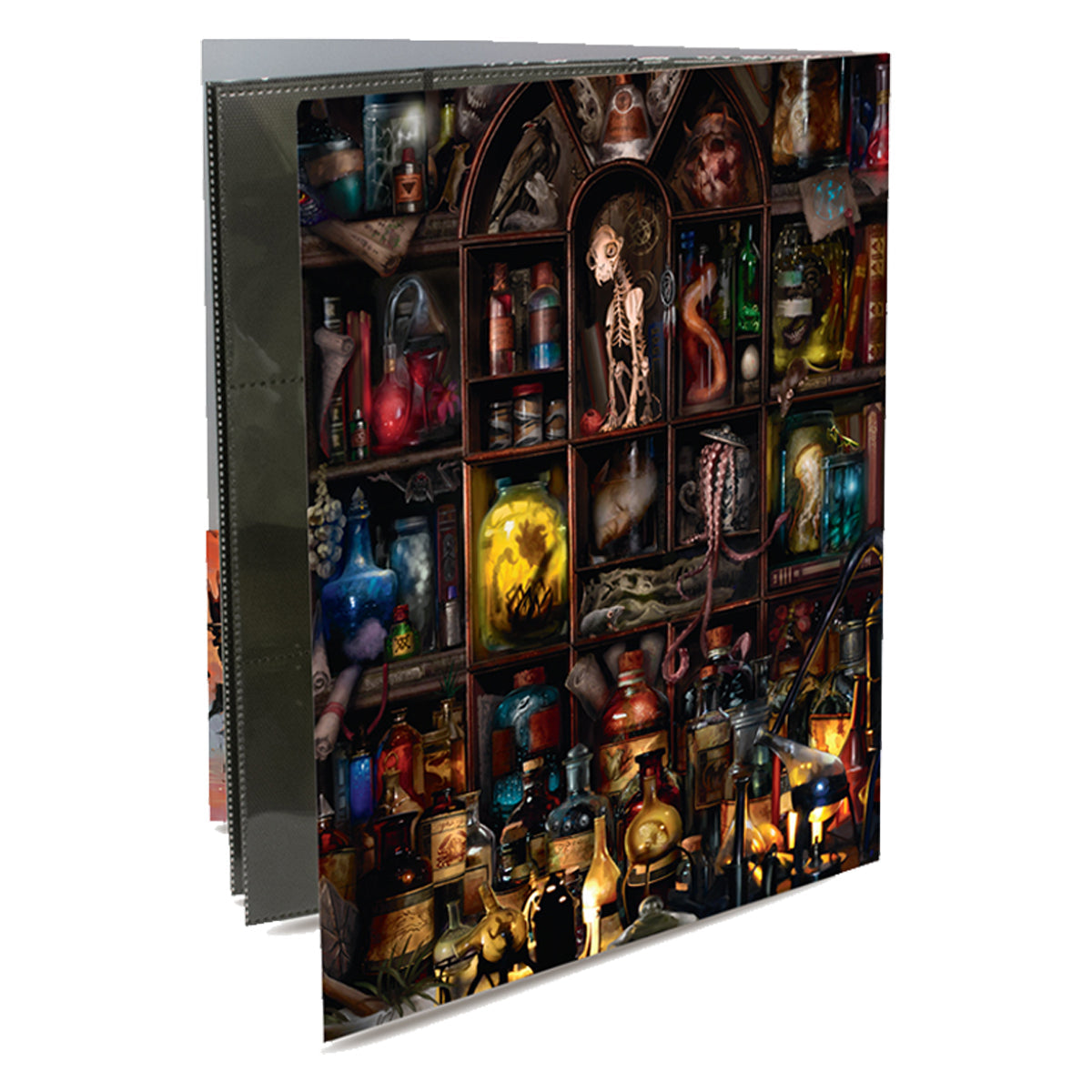 D&D Class Folio with Stickers Wizard
