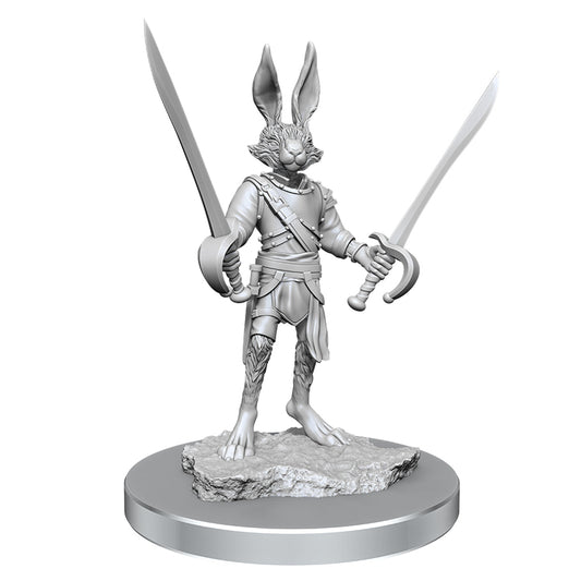 D&D Nolzurs Marvelous Unpainted Miniatures Harengon Rogues